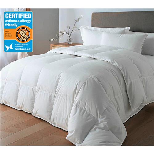 Luxeport Certified Asthma Allergy Friendly 100 Silk Duvet